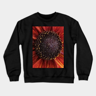 Centre Crewneck Sweatshirt